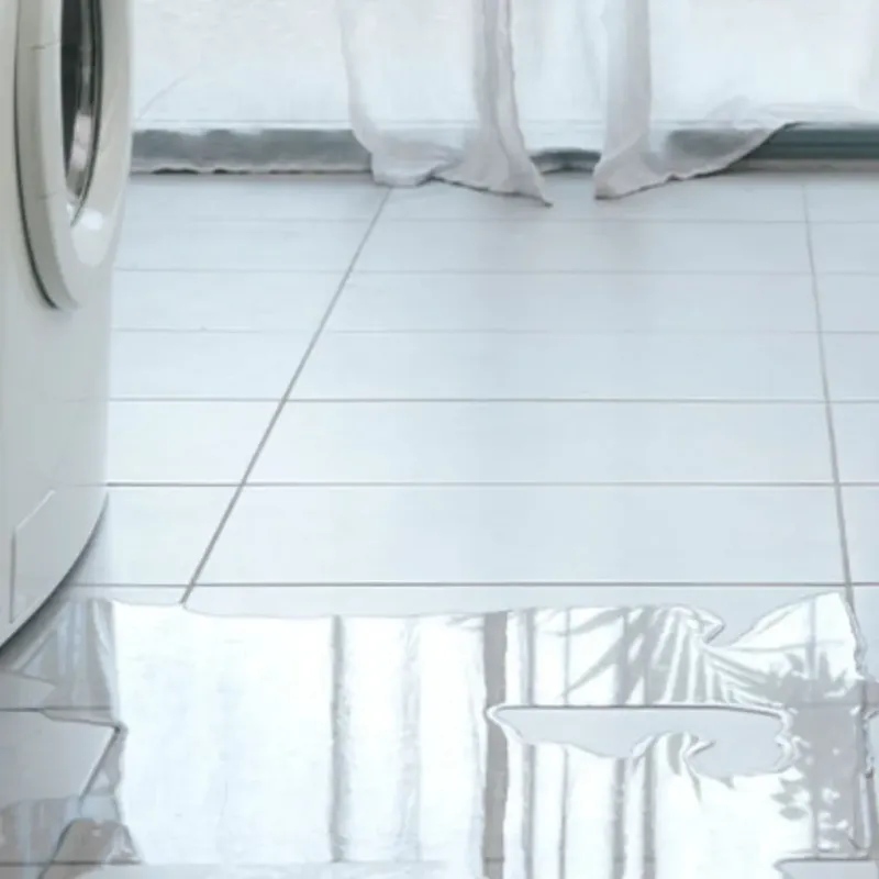 Appliance Leak Cleanup in Ocala, FL
